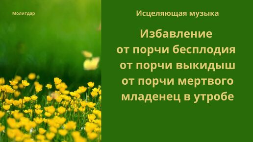 Мертвая утроба