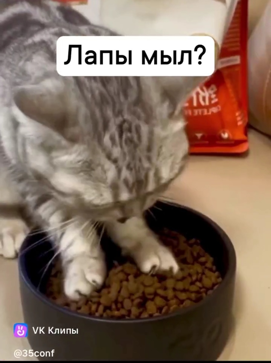 Скрин из видео 