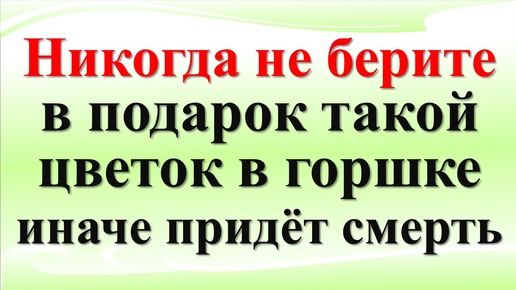 Не берите в подарок такие вазоны по народным приметам. Что нужно знать о цветах