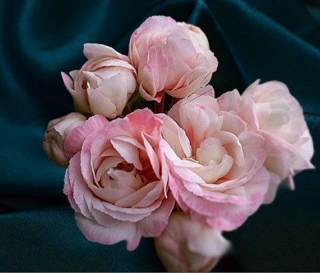 Нежнейшая малышка!