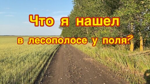 Находки из лесополосы у поля. Овода чуть не съели, но с пустыми руками не уехал!