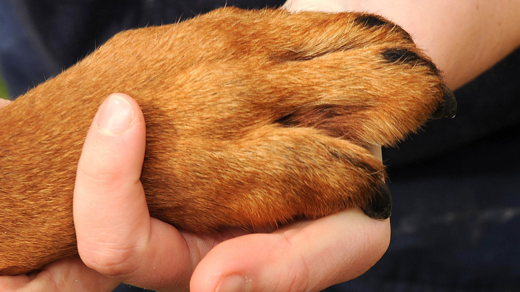    Фото: Caters News Agency Ltd/Globallookpress