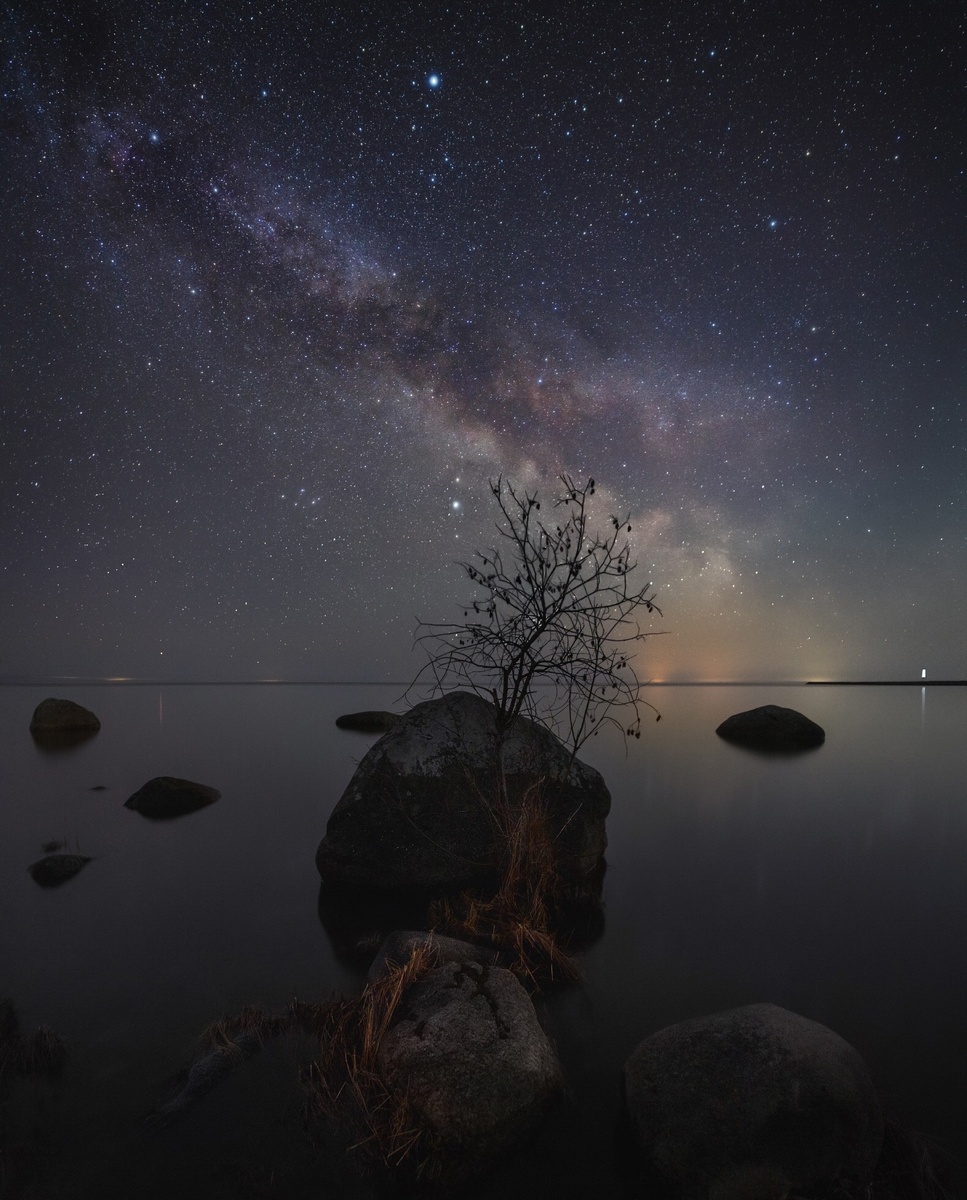 Автор - @elizzbad