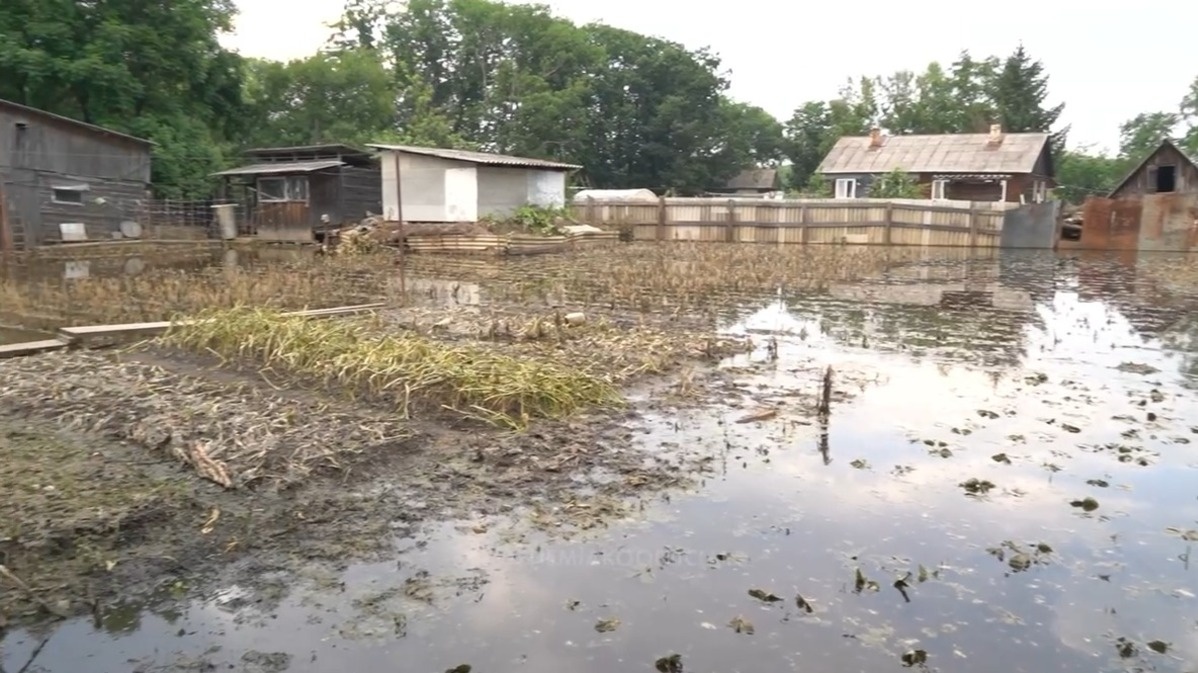     Источник: kozhemiakoofficial