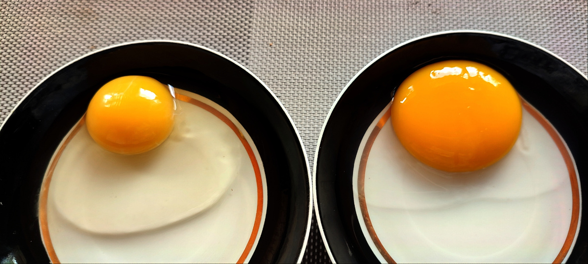 Куриное и утиное