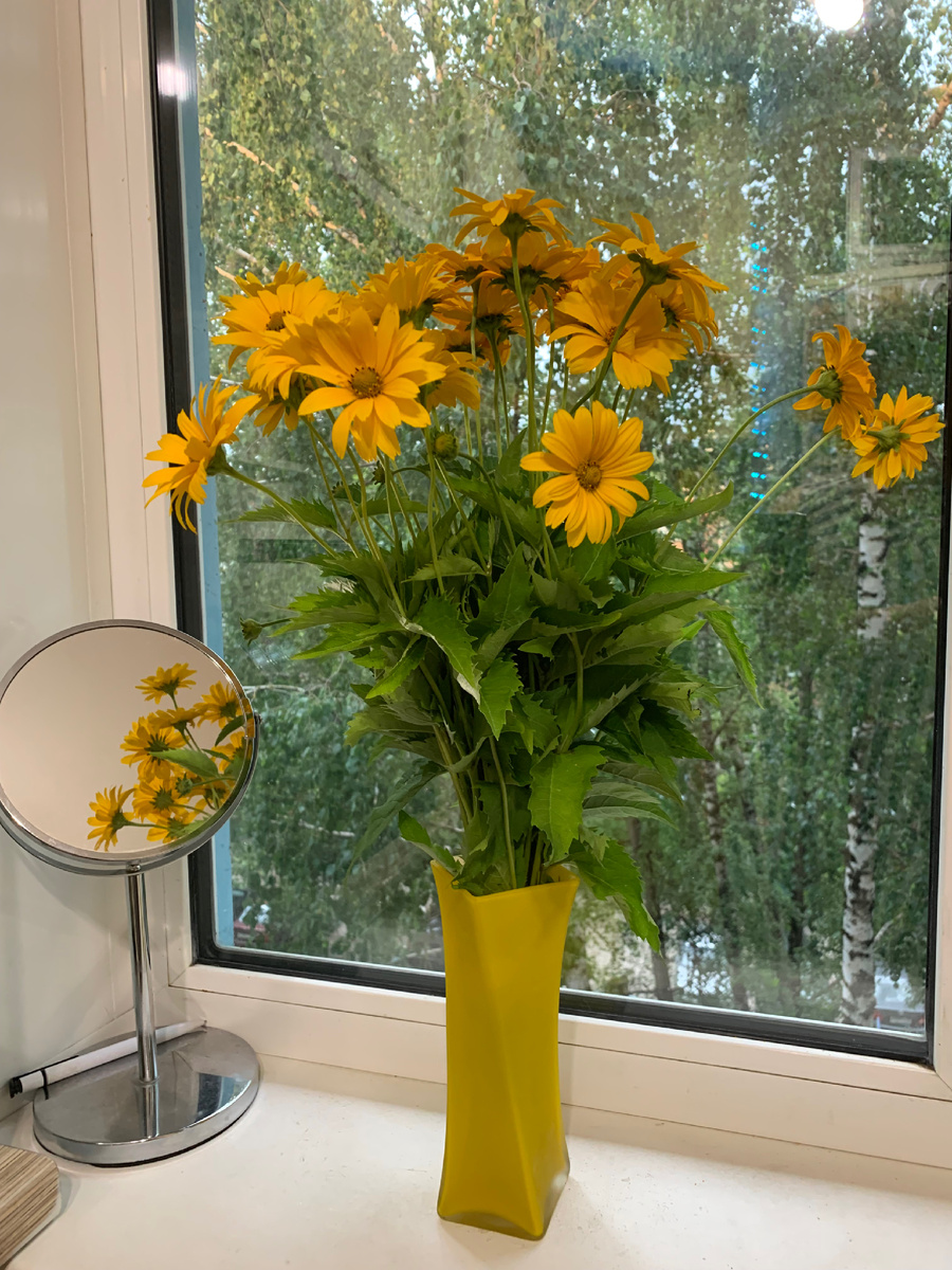 Цветочки дочка купила на улице у бабушки🤗