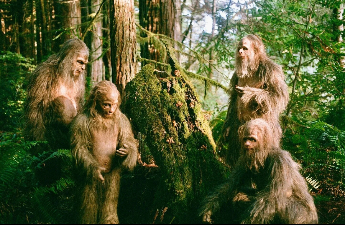 Кадр: Кинопоиск 