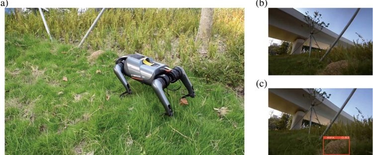    Киберсобаку с ИИ для поиска гнезд опасных муравьев разработали в Китае