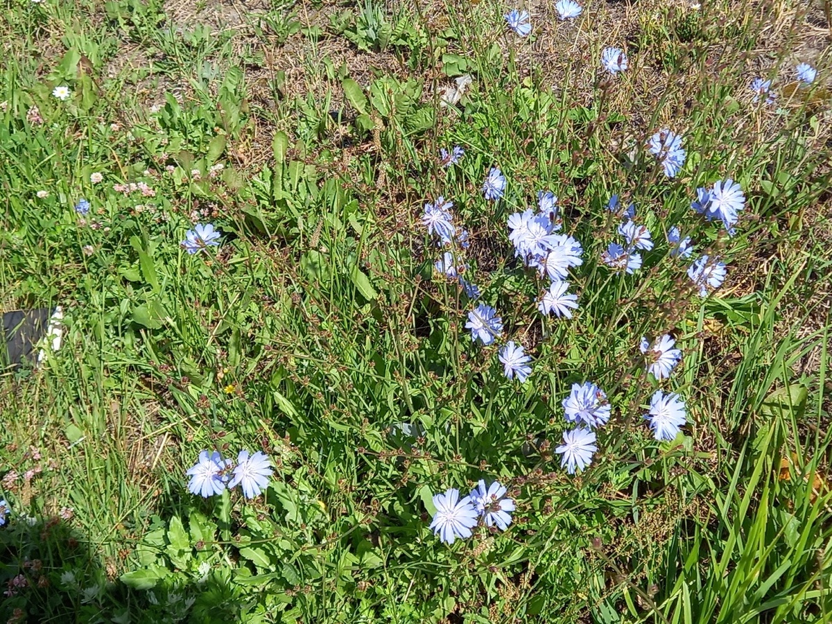 Фотография автора