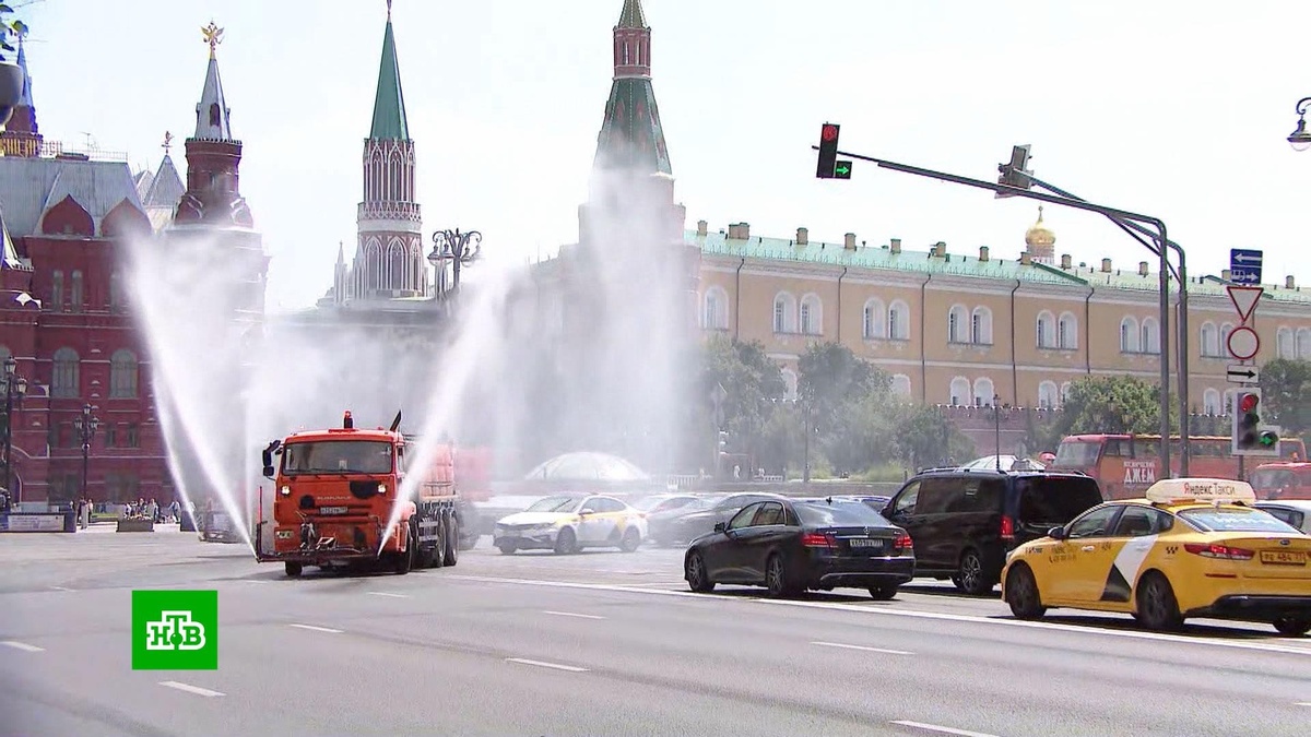    Искать тень и не оставлять детей в машине: как в жару избежать теплового удара