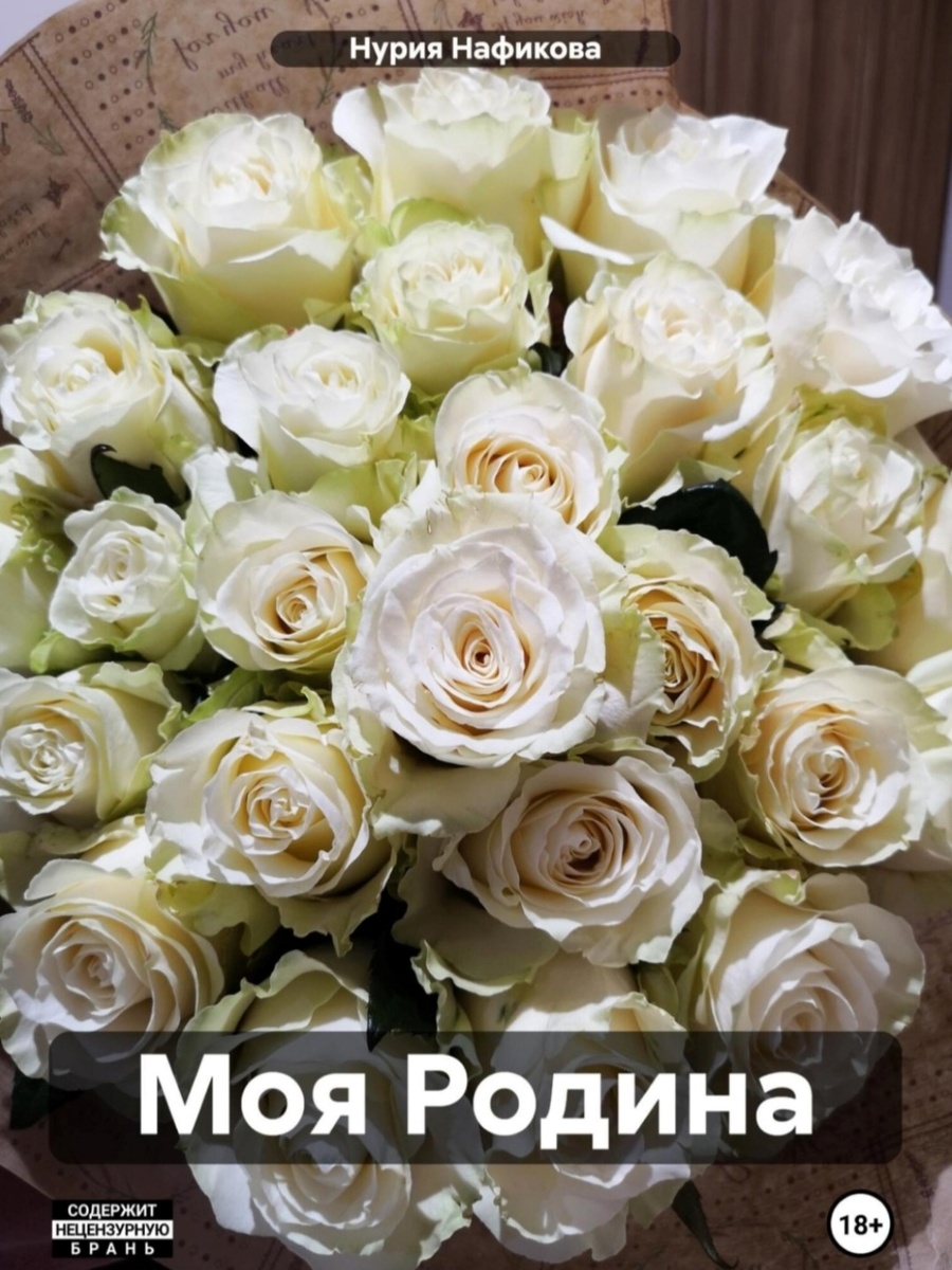 Обложка на Литрес первой части романа "Моя Родина"