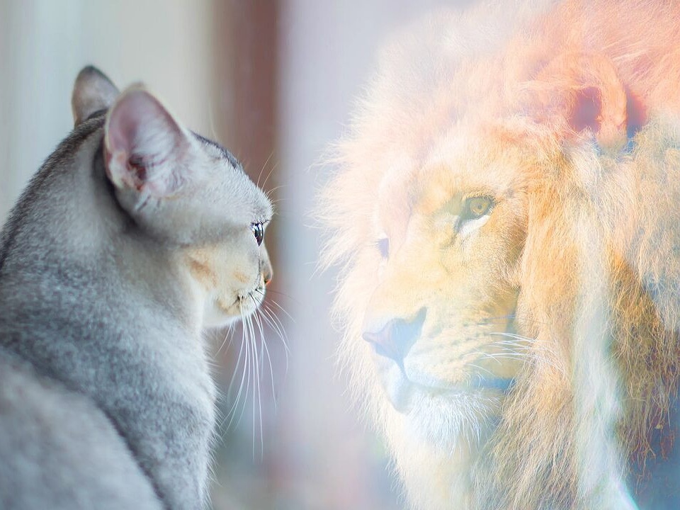 Источник: Яндекс картинки