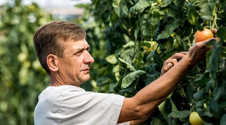 Фото: Павел Колядин