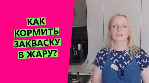 Как кормить хлебные закваски в жару?