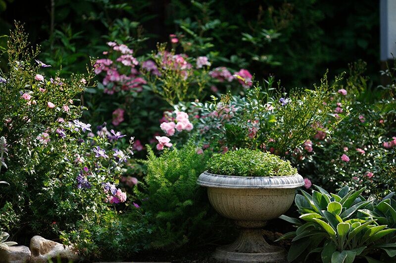 Фото из открытого источника