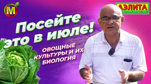 ЧТО ПОСЕЯТЬ В ИЮЛЕ? Овощные культуры и их биология.