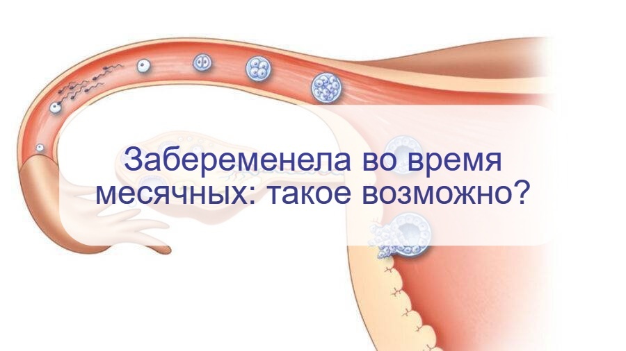 Сколько времени нужно, чтобы забеременеть после секса? ᐉ Сеть аптек «Бажаємо здоров'я»