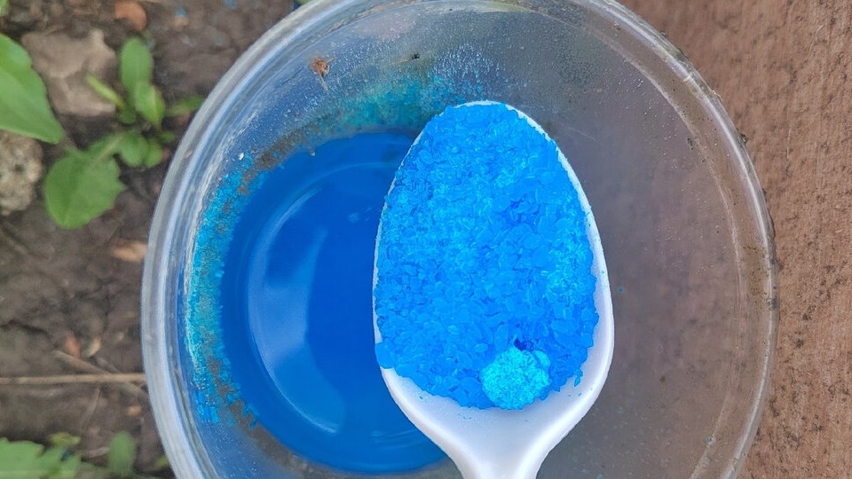 Медный купорос. Используется только в случае сильного поражения посадок грибковыми болезнями. 