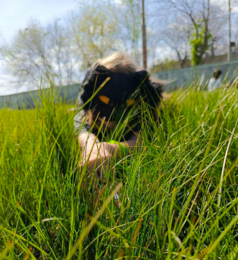 Фото Quadrobics_Animal_Style_ru