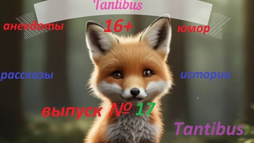 Юмор анекдоты от Лисёны (Tantibus) 16+ Выпуск №17