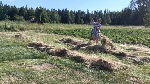 Переехала из Москвы в деревню и не жалею об этом. Распаковка