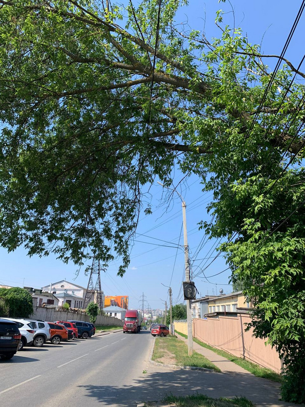    На улице Герцена дерево повисло на проводах