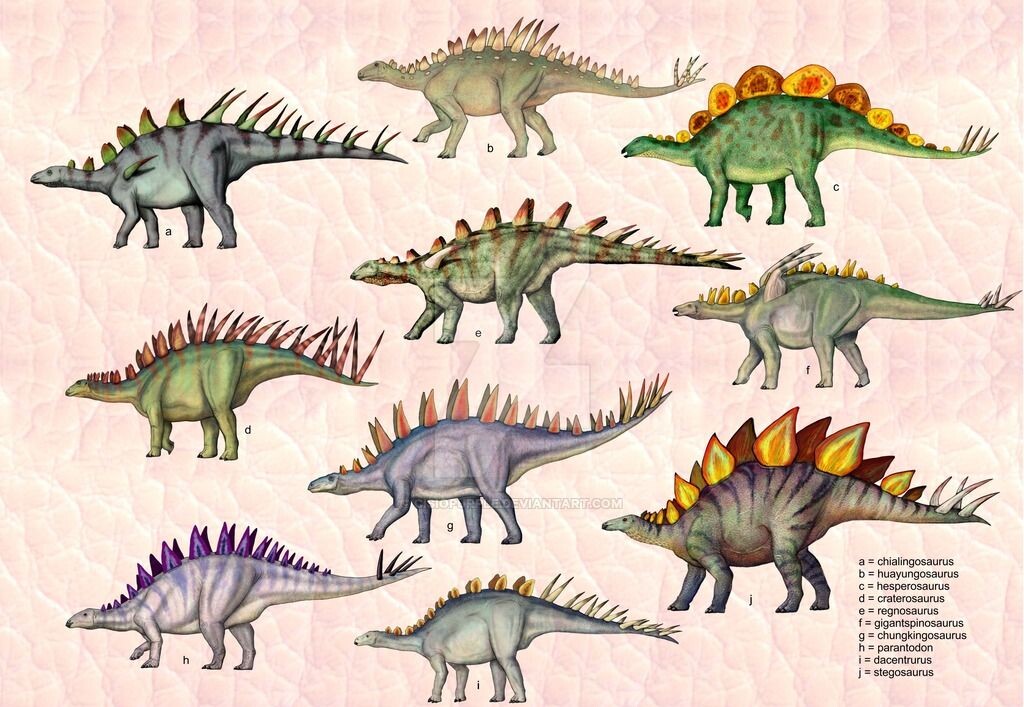 Некоторые виды стегозаврид.