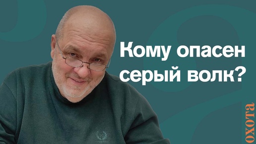 Кому опасен серый волк? Валерий Кузенков об охоте на волка.