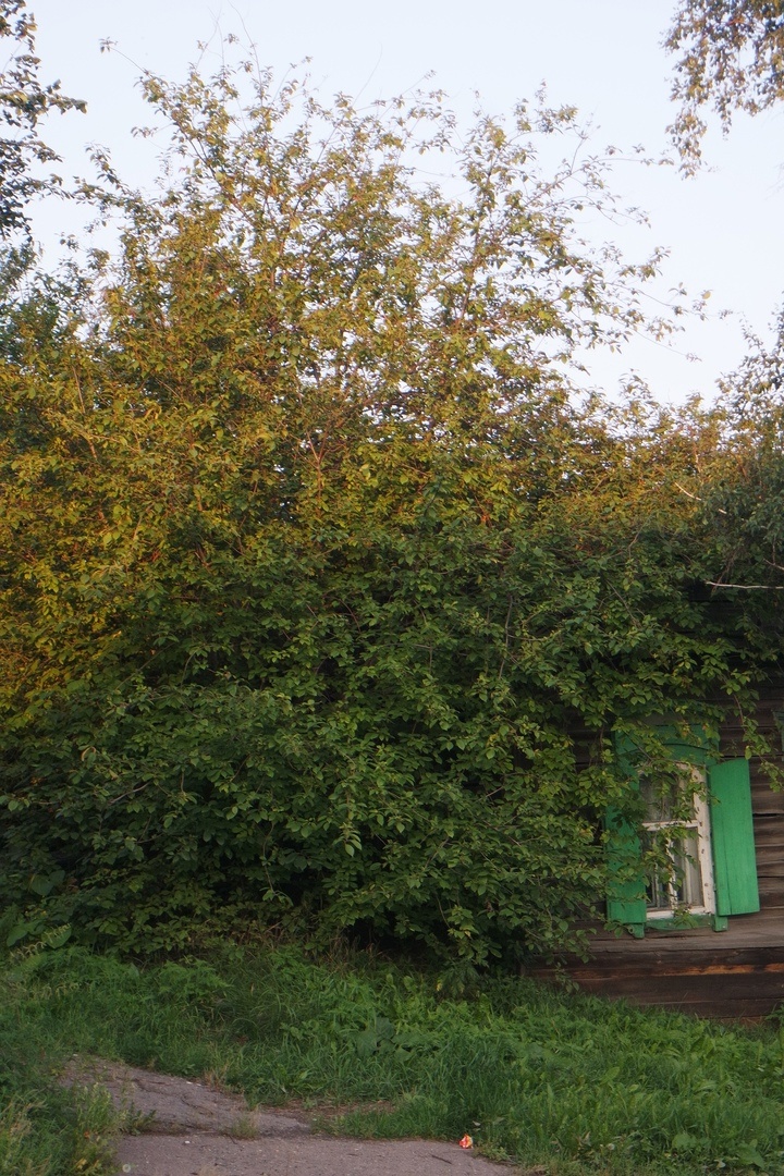 на улице Лебедева-Кумача