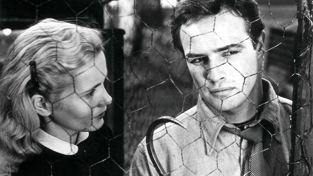 FilmStills.net / Global Look Press📷Ева Мари Сэйнт и Марлон Брандо в фильме «В порту», 1954 год