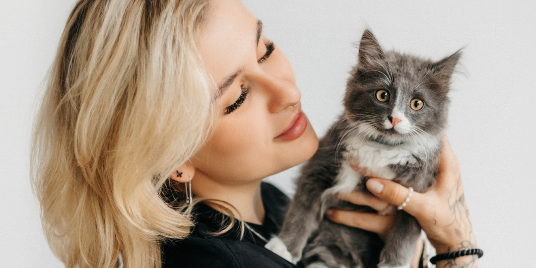 Какая порода кошек подходит под ваш характер: Помогаем выбрать идеального котика