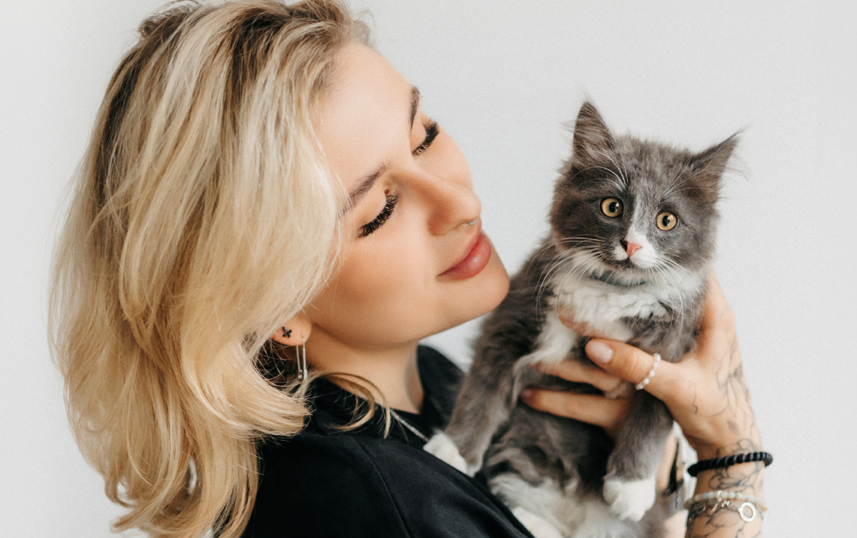 Кошка вашей мечты: выберите питомца по своему характеру / Изображение: AlphaPet