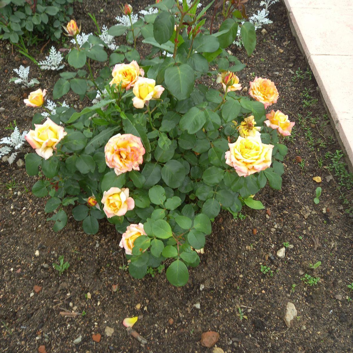 Фото автора канала