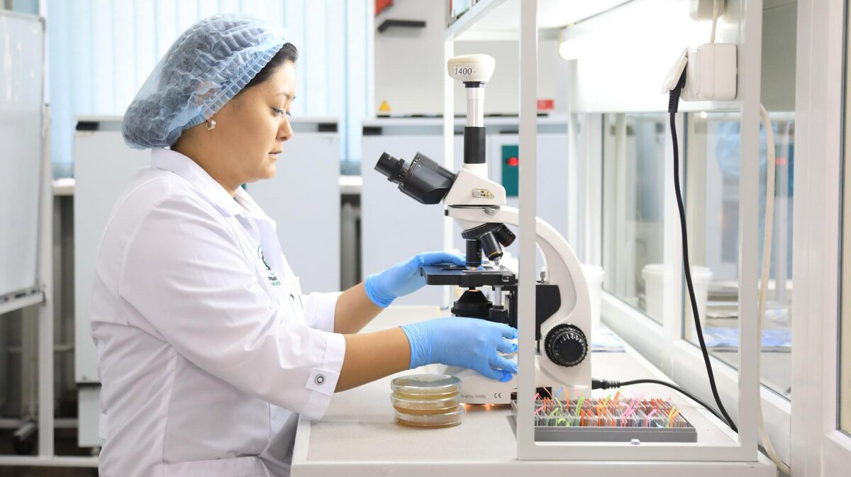 Фото: пресс-служба Правительства РК