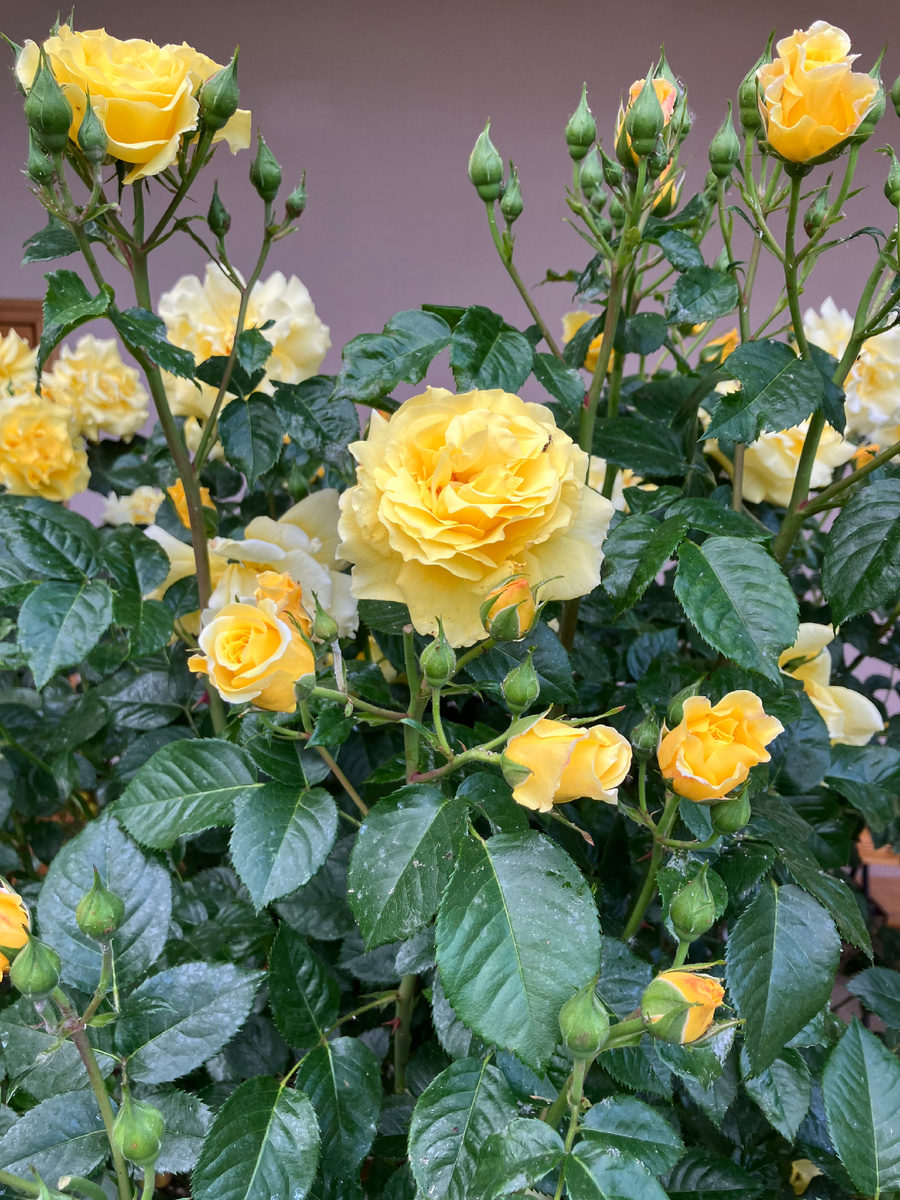 Середина мая 2024 года