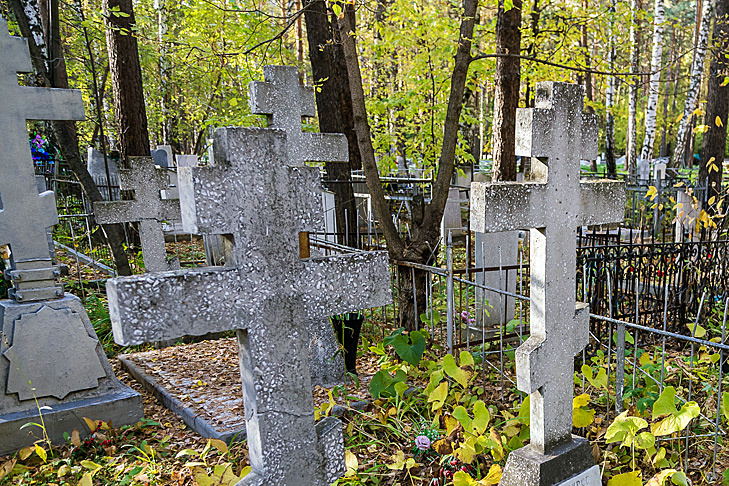    Фото Андрея Заржецкого