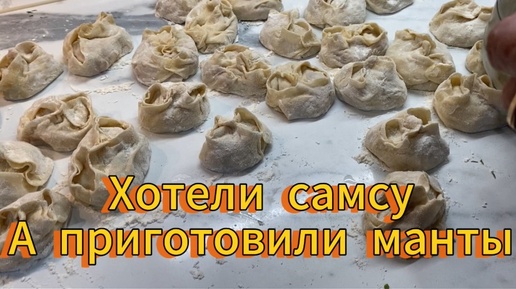 Хотели САМСУ, а приготовили МАНТЫ