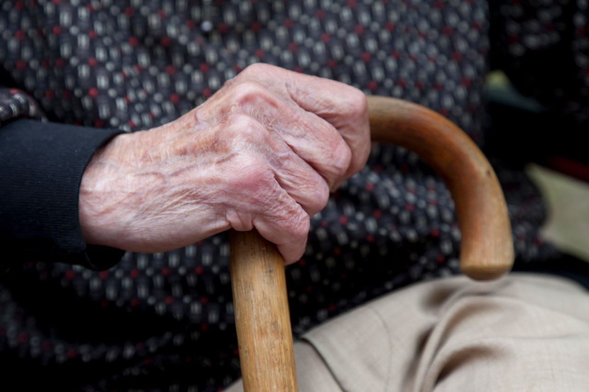 Фото: Global Look Press/Thomas Born/imageBROKER.com (из архива)