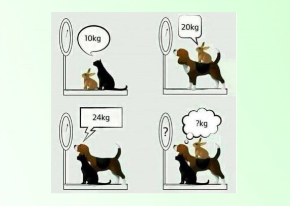 Вычислите общий вес Зайца, Пса и Кота.