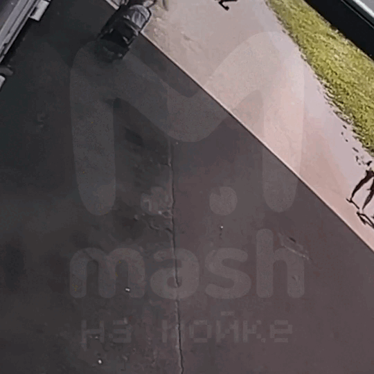 Источник: ТГ канал "Mash на Мойке".