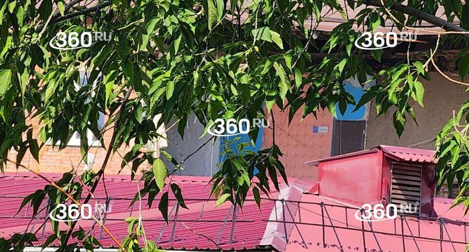    Телеканал «360»