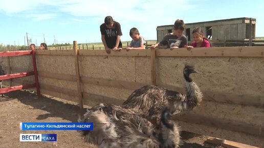 В пригороде Якутска эко-фермеры выращивают экзотических птиц и животных