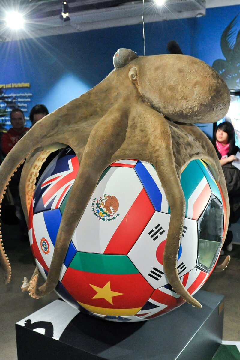 Памятник осьминогу Паулю в немецком Оберхаузене. Фото: Imago-Images/ИТАР-ТАСС