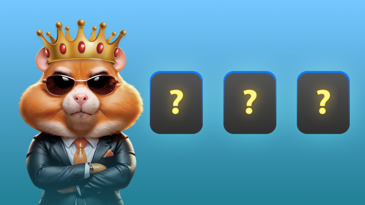 Комбо hamster 4 августа