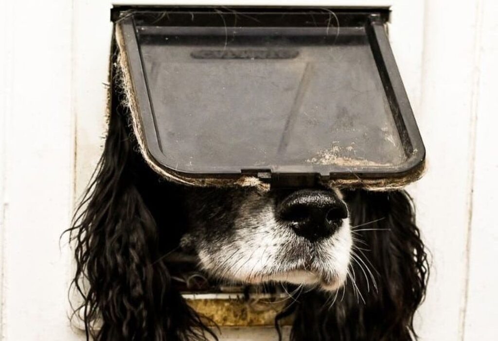    фотограф: Sarah Haskell