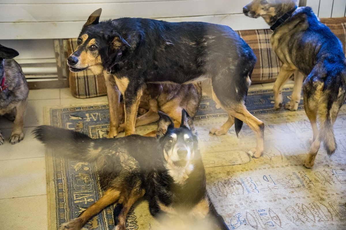 Фото: Александр Плонский