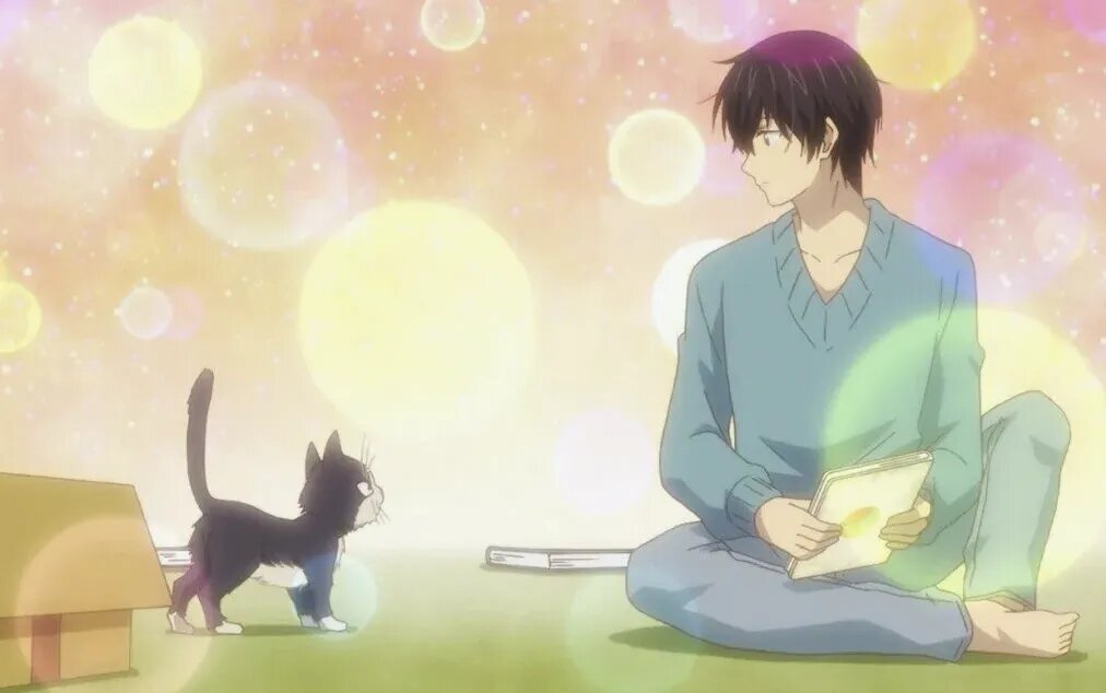 Кадр из аниме «Домашний питомец, иногда сидящий на моей голове»   📷
