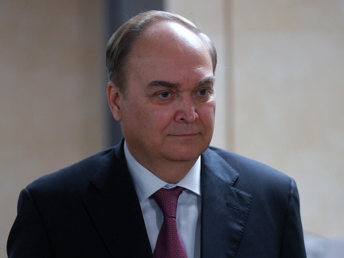    Посол РФ в США Анатолий Антонов во время брифинга в Государственной Думе РФ в Москве© РИА Новости / Илья Питалев