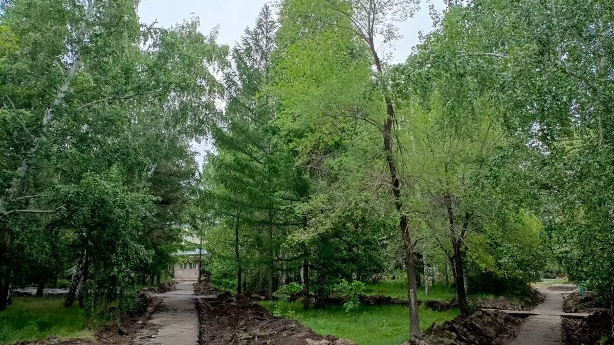     Автор: Николай Эйхвальд Источник: gorod55.ru