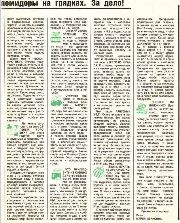 фрагмент страницы  журнала "Крестьянка" 8/1989